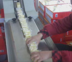 片裝整理機與包裝機 機電設備安裝的關鍵環節與實施要點