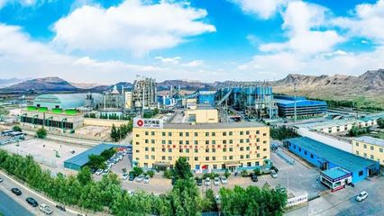 全國(guó)僅兩家電石企業(yè)獲這個(gè)國(guó)家級(jí)榮譽(yù) 東方希望烏海電石拿到了!